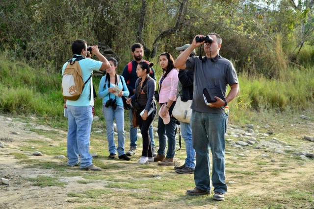 Guias y grupo